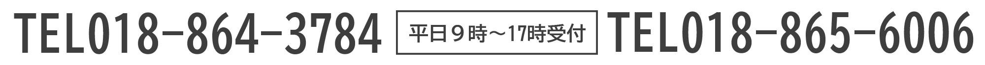 TEL画像